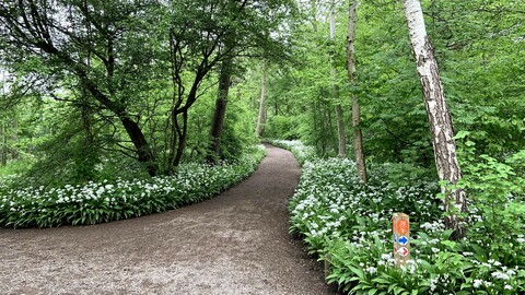 Richting de Doorbraak