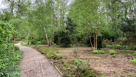 Van Leerpad (tweede deel)