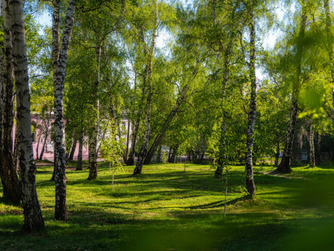Старое Глазковское кладбище