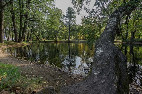 Дача Трубецкого