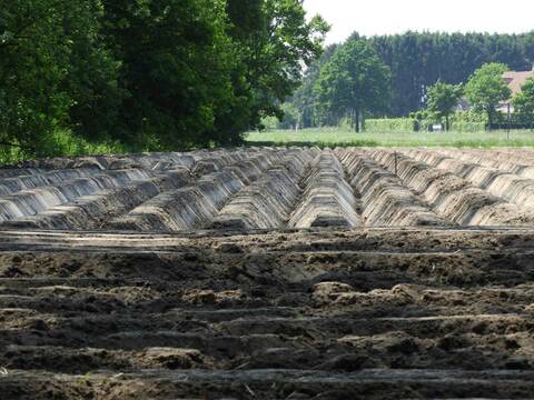 Een toekomst voor landbouw
