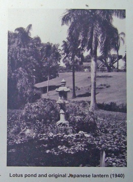 Japanese Lantern