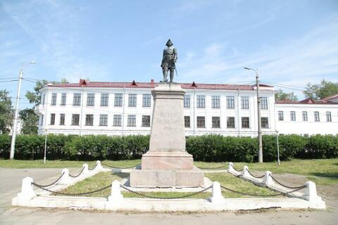 Памятник Петру I