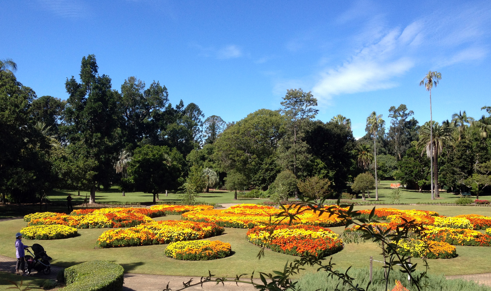 Brisbane City Botanic Gardens - A Heritage Tour of the City Botanic Gardens