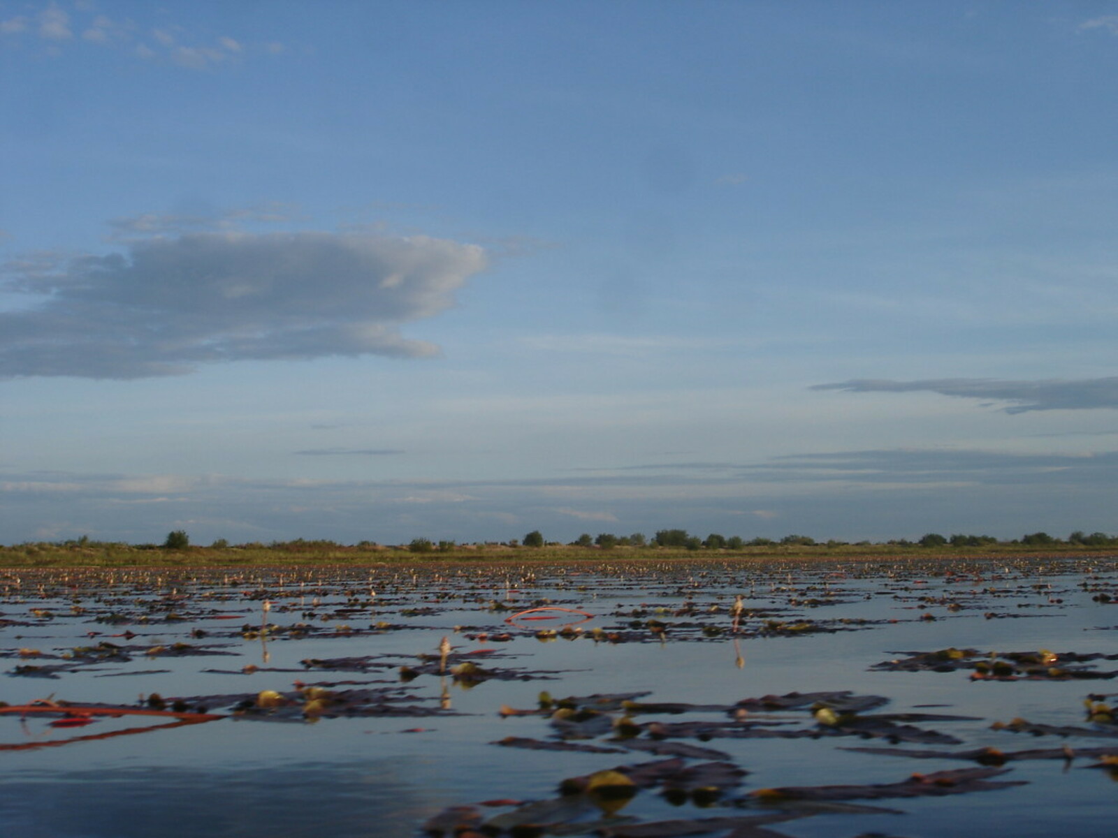 озеро Харга – Аудиогид от ФГБОУ ВО "Бурятский государственный ...