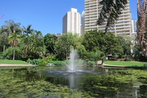 Ornamental Ponds
