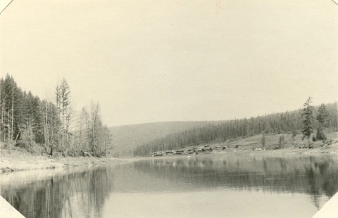 Лыхина