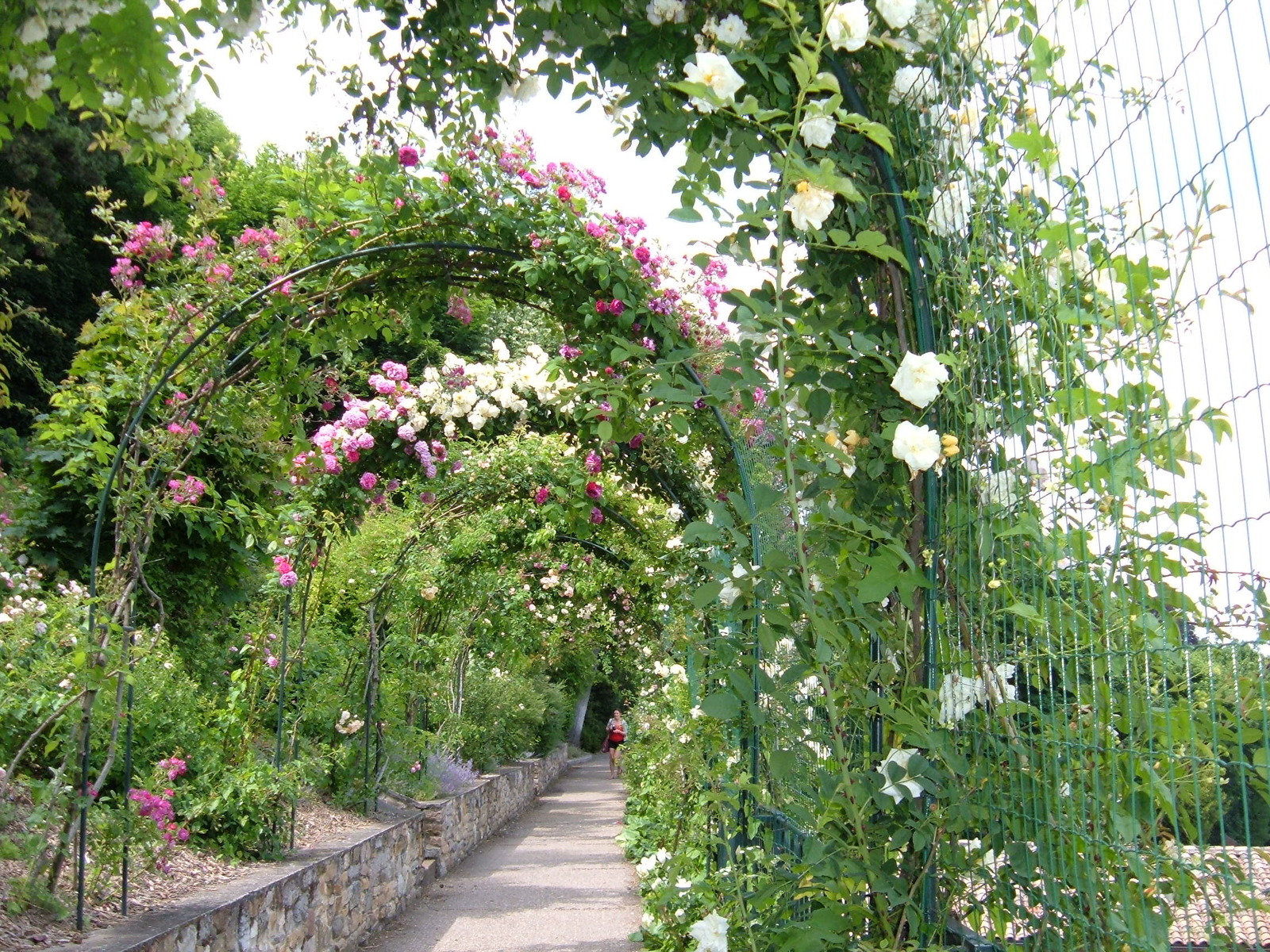 Jardin du Rosaire et Maison Pauline Jaricot