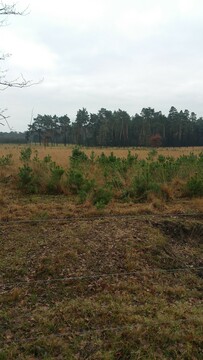 Kleine Huis op de Prairie