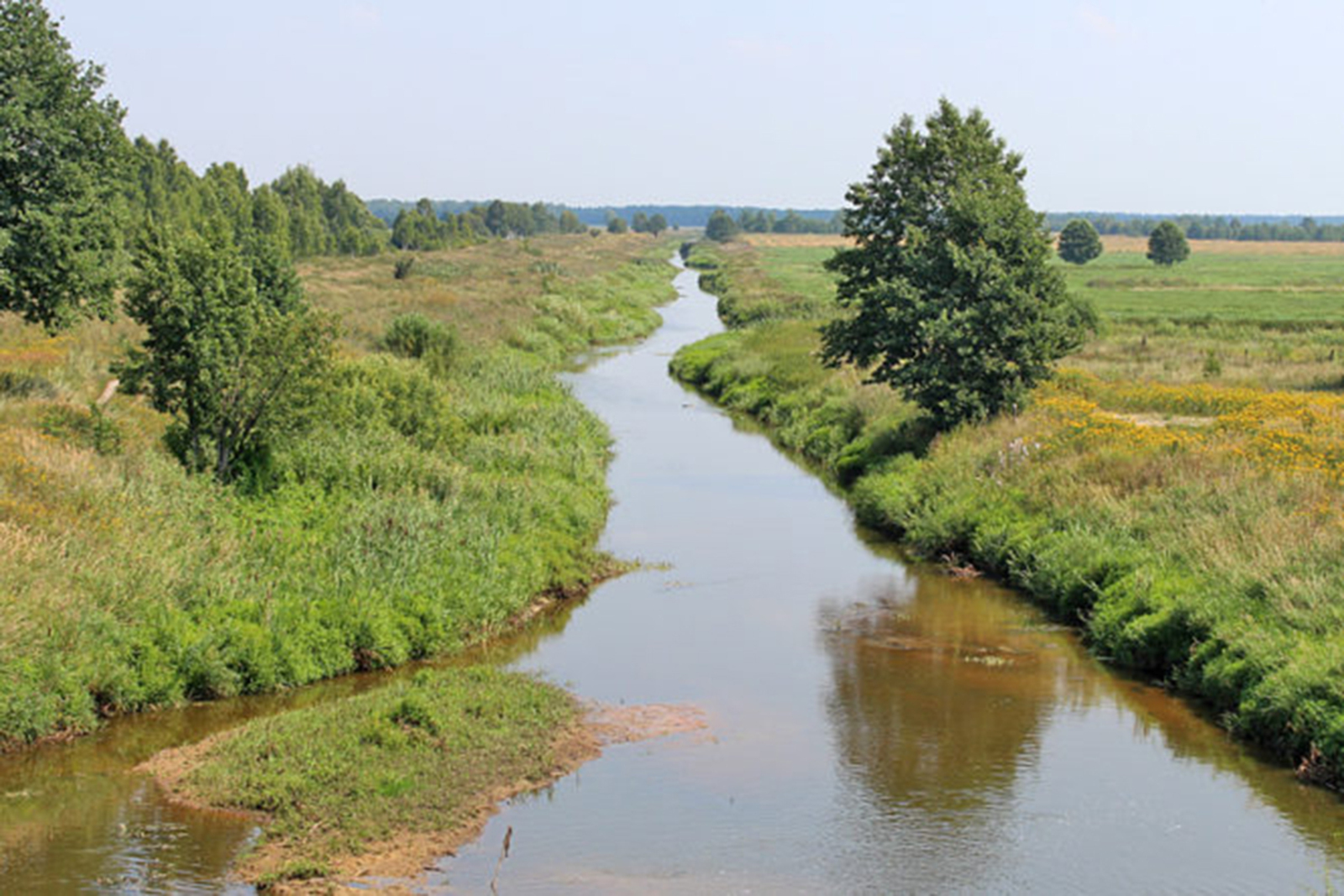 река Цна