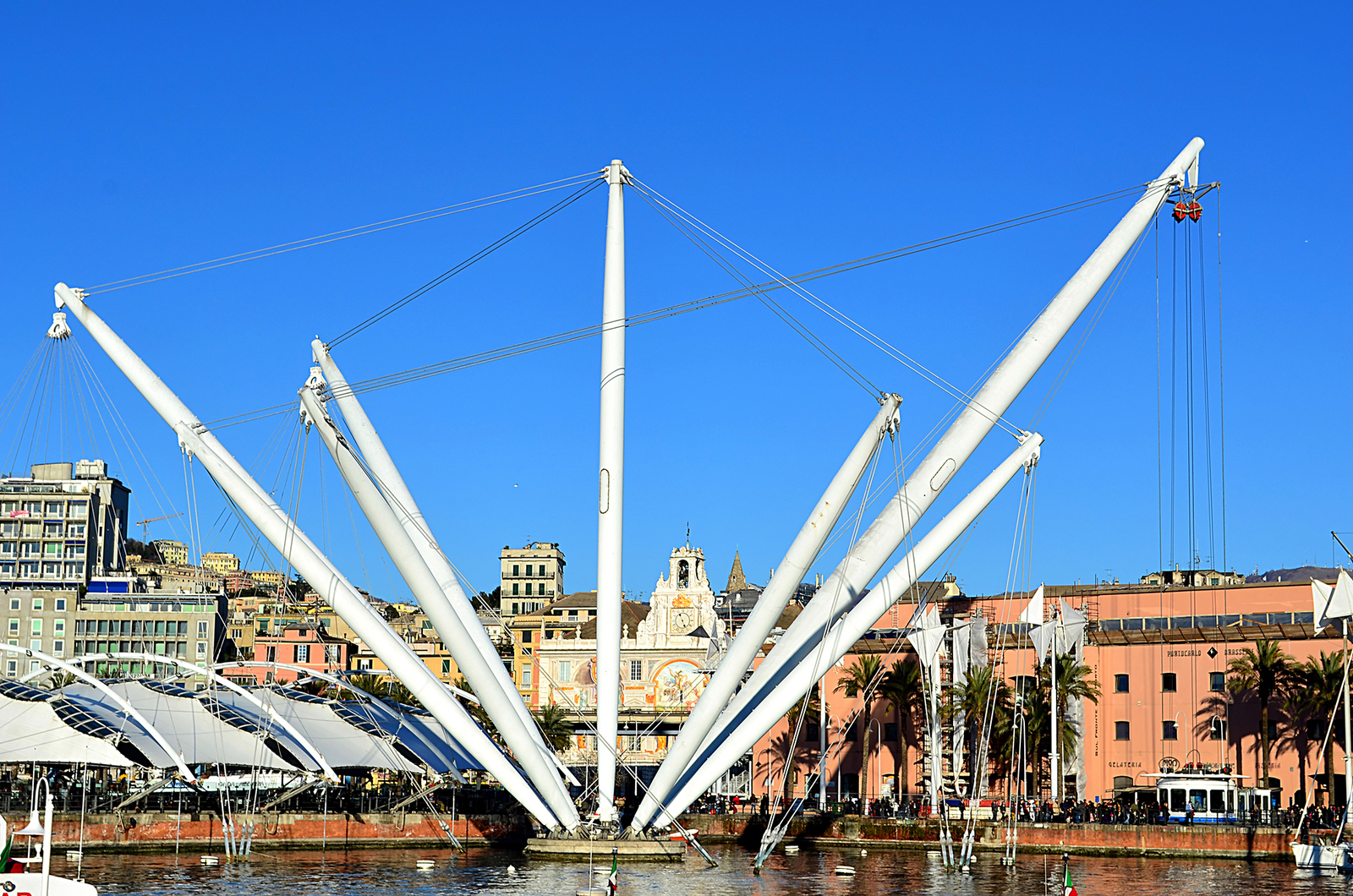 Acquario di Genova (Aquarium)