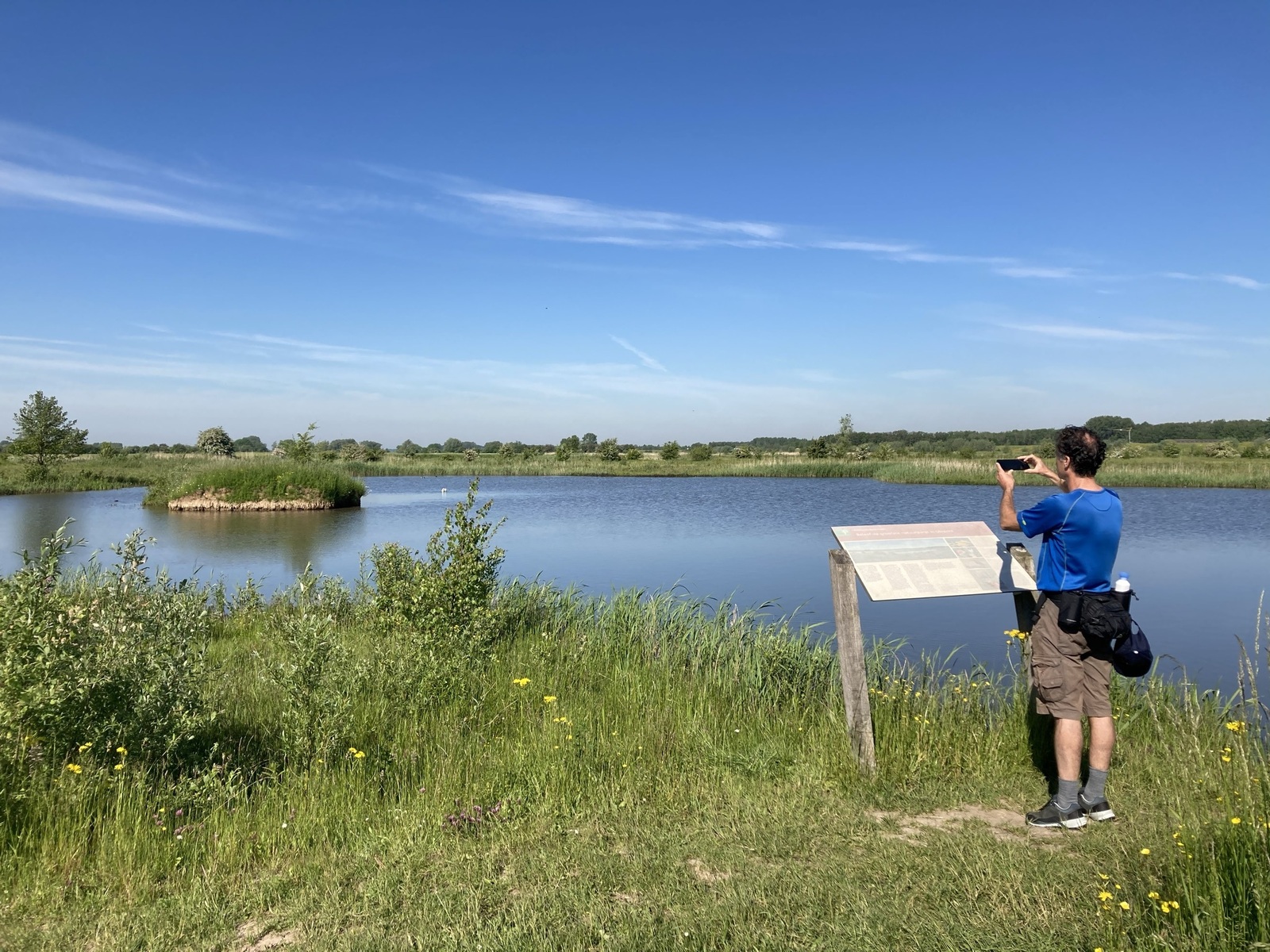 Amerongse Bovenpolder West (circa 9.30 uur)