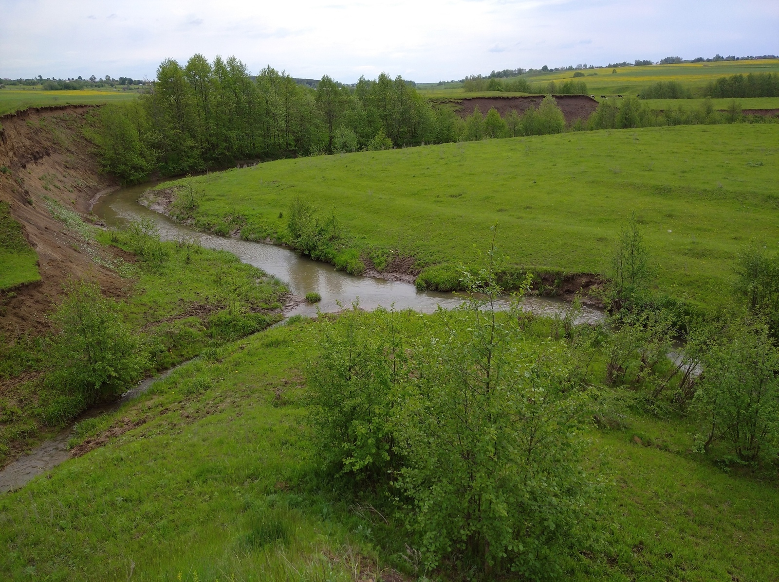 Река Выла