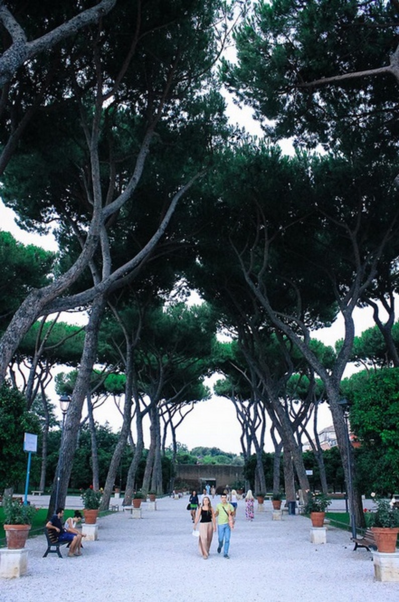 The Orange Garden
