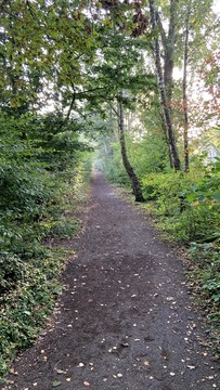 Rode Kornoeljepad