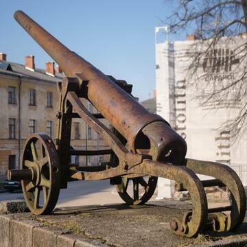 The Steel Cannon