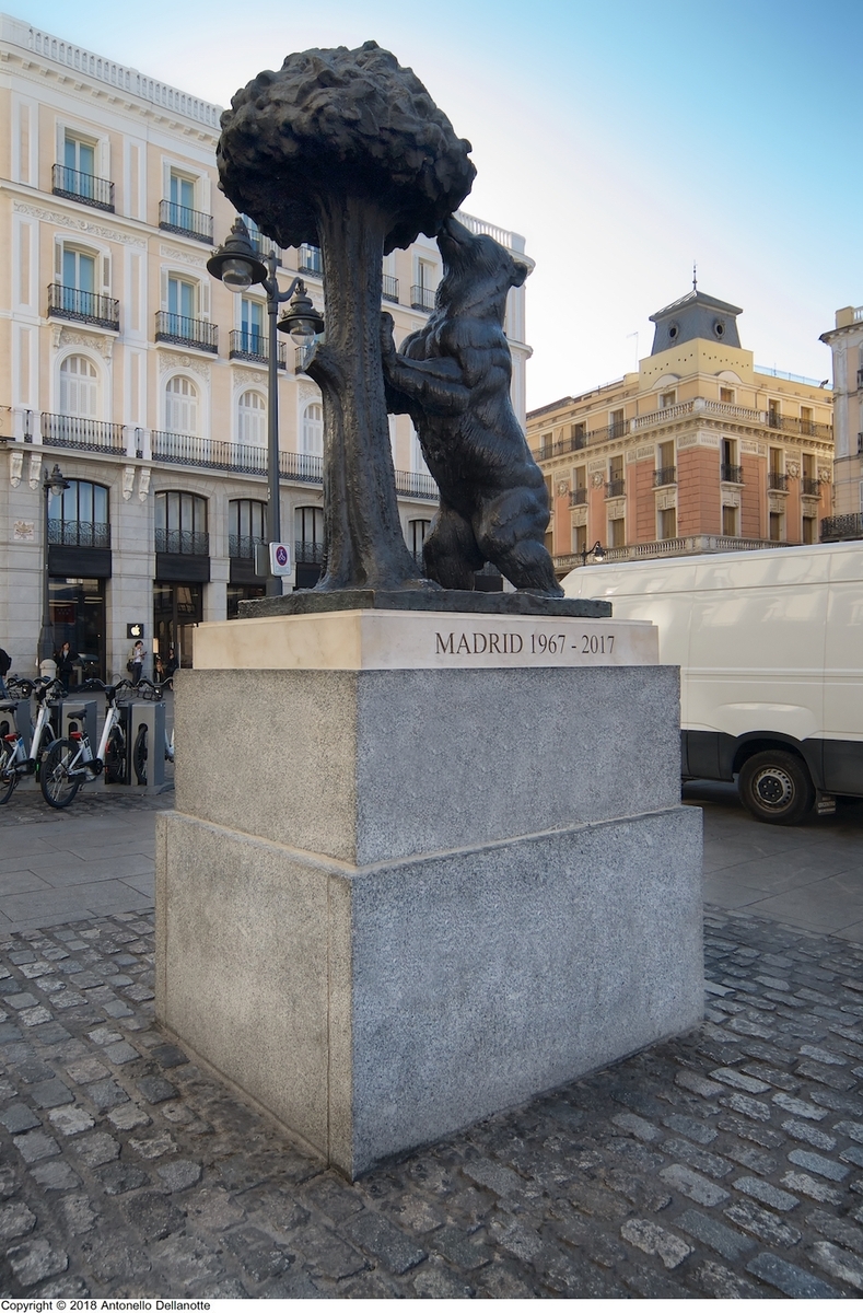 El oso y el madrono