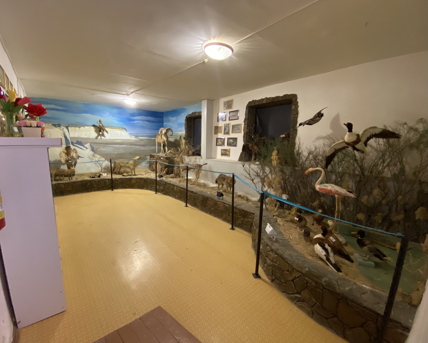 Ustyurt Reserve Nature Museum