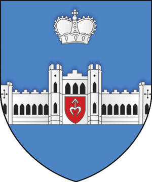 Город Коссово