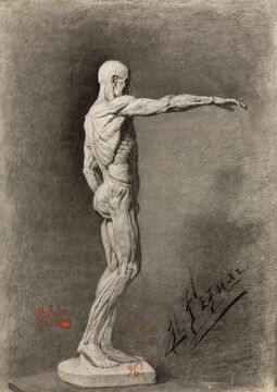 Николай Рерих. Экорше Гудона. 1894