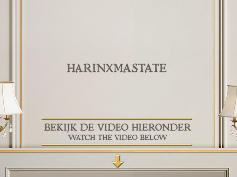 Harinxmastate
