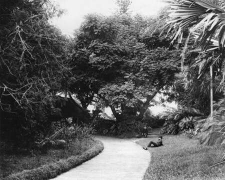 Site of the First Jacaranda Tree in Queensland
