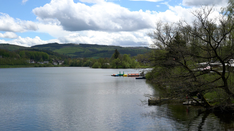 Amecke am Sorpesee