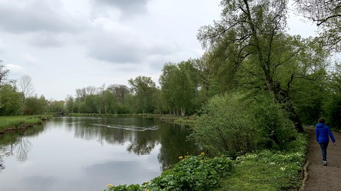 De grote vijver