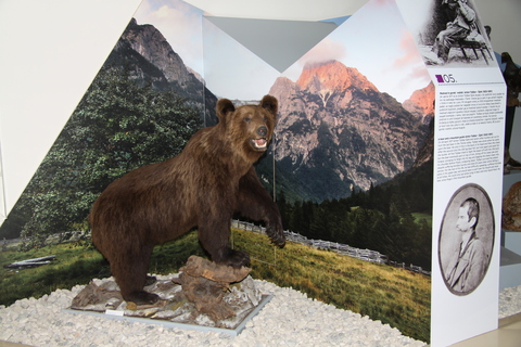 A Bear and a Mountain Guide: Anton Tožbar-Špik (1832–1891)