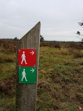 Analoog Stoplicht