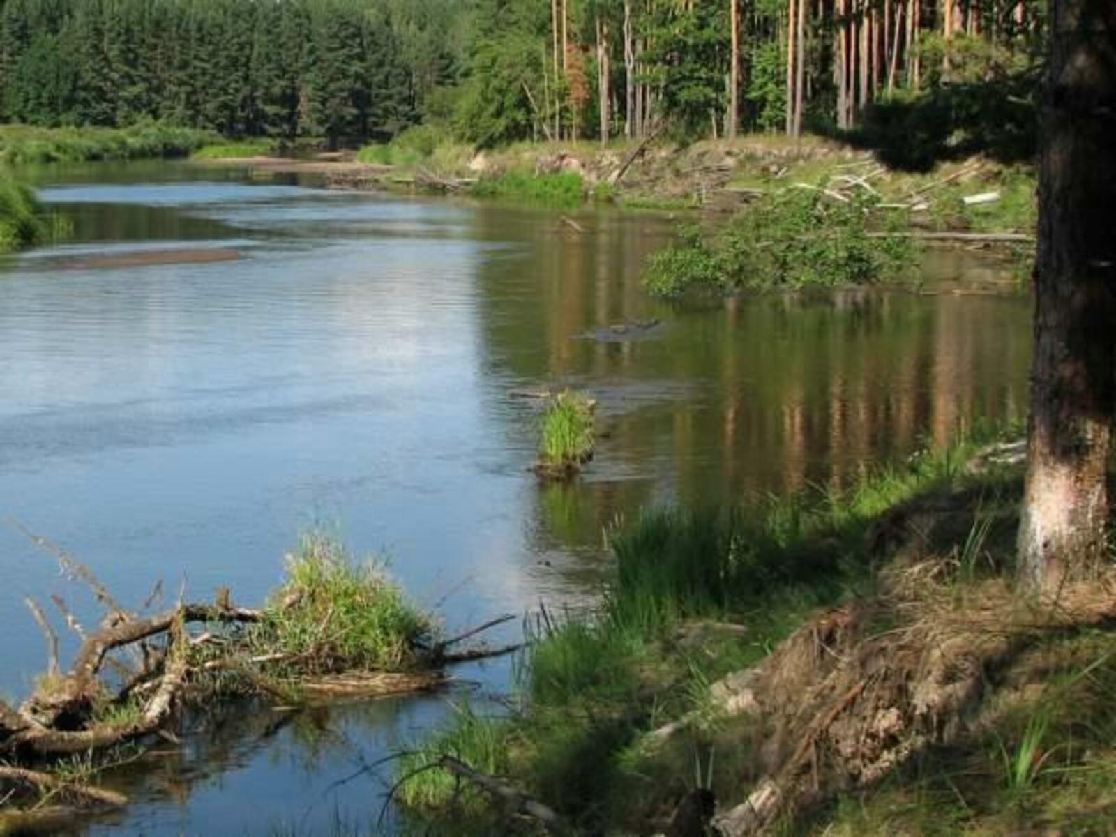 Река Уж