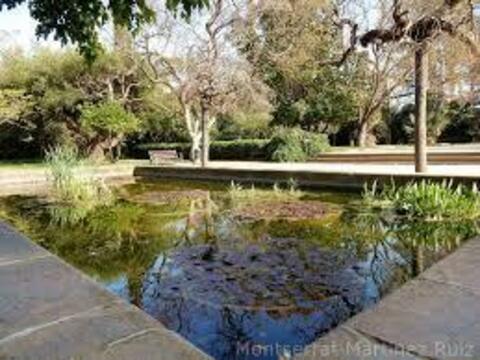 Jardín de aclimatación
