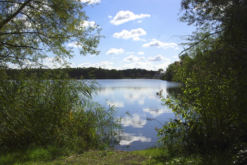 Am Rande von Aalst und Waalre