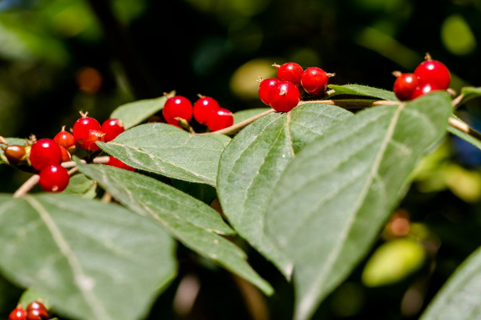 Katta yoshli yolgiz ayol porno rasmlar