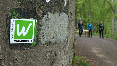 Sagenstation „Im Balver Wald“