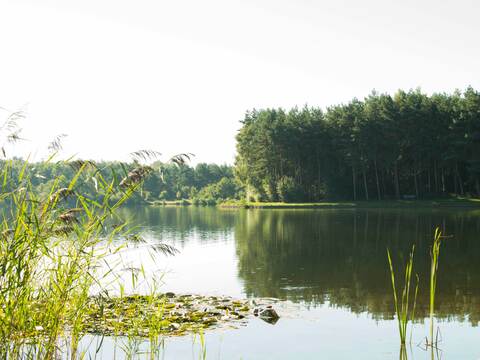De Watering - De Plas