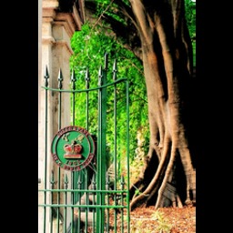 Brisbane Botanic Gardens - City Botanic Gardens