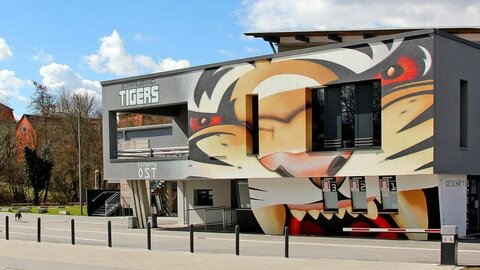 Tigers