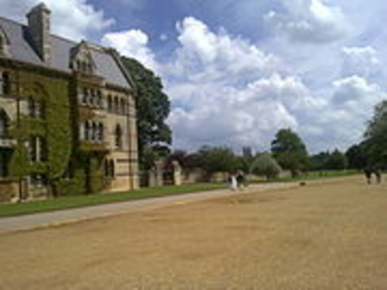 Christchurch Meadow
