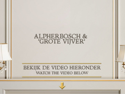 Alpherbosch & ‘Grote Vijver’