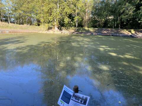 Stop 3: Second Pond