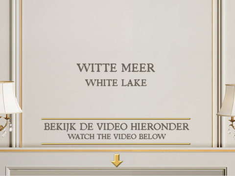 Witte meer