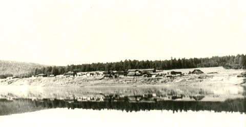 Голикова