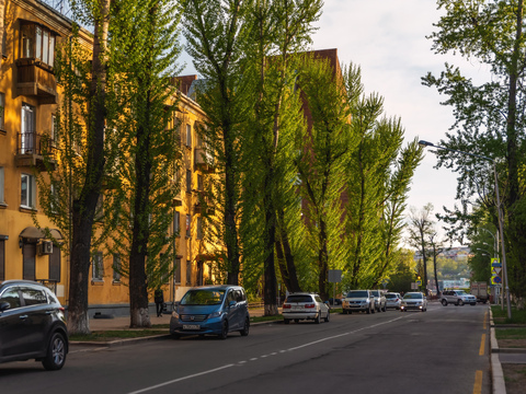 Улица Российская