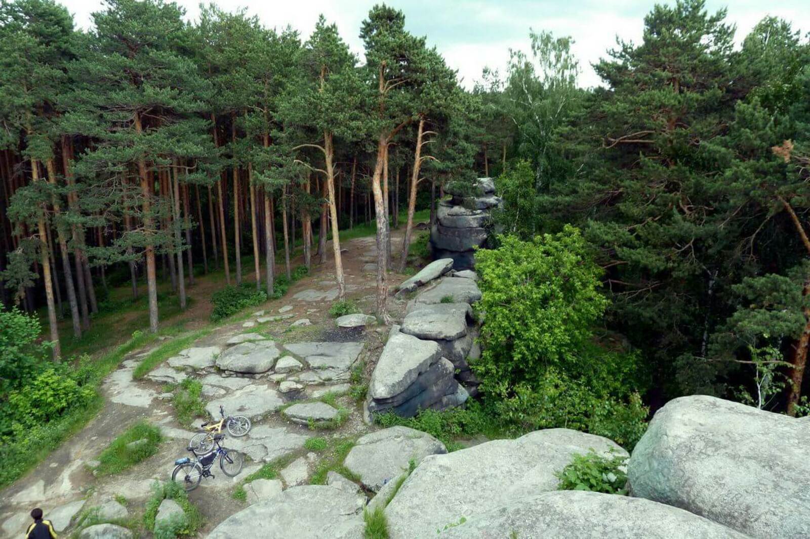 Шарташский лесопарк