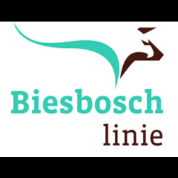Biesboschlinie