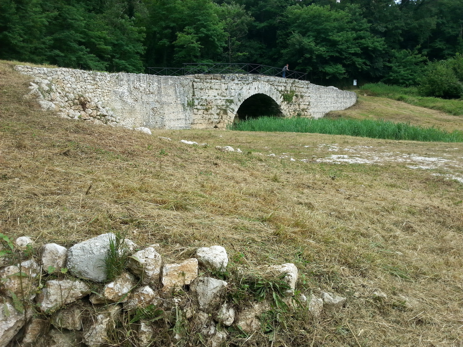 Area Archeologica di Ponte Scotonico