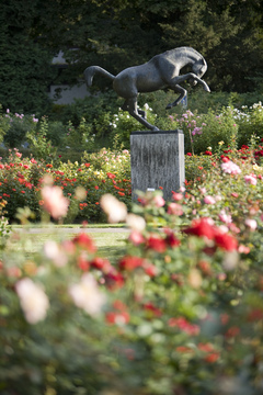 Aussichtspunkt Rosengarten