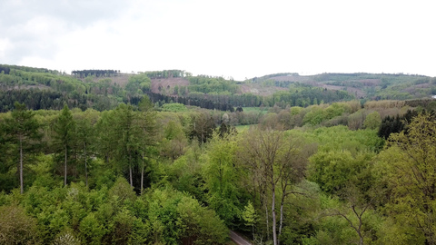 Das Einstiegsportal zur Sauerland Waldroute