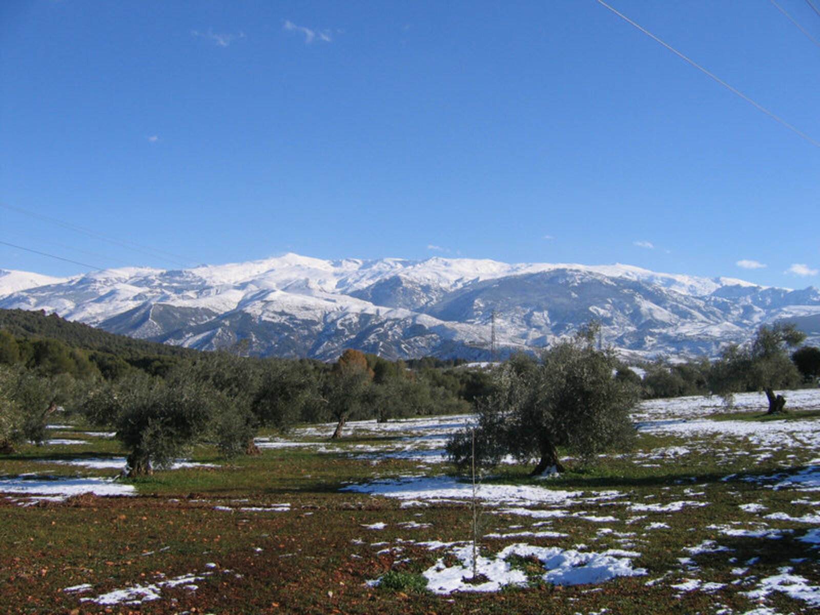 Les monts de la Sierra Nevada